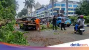 Pohon Tumbang Timpa Mercy dan Taksi di Kelapa Gading, 2 Luka