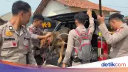 Polres Bogor Kerahkan Tim K9 Buru Anjing Pemburu Lepas di Jasinga