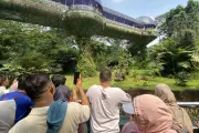 Ragunan Beri Tiket Gratis di HUT ke-499 Jakarta, Ada Kuis Berhadiah