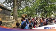 Ragunan Diserbu 135 Ribu Pengunjung di Hari Terakhir Gratis HUT DKI