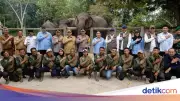 Rajiv: Kelahiran Anak Gajah 'Nona Seroja' Momentum Perkuat Konservasi