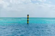 Terapung 7 Hari di Laut, Pria China Selamat Berkat Kepiting Mentah