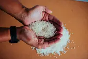 Video Demo Petani Thailand Akibat Impor Beras Dihentikan Indonesia adalah Hoaks