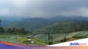 Viral Gunung Lawu Akan Erupsi Besar, PVMBG Tegaskan Itu Hoax