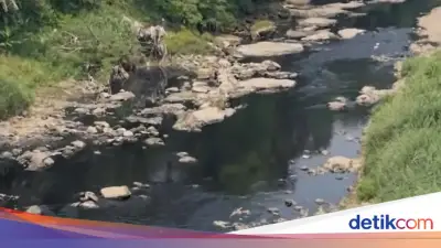 Air Sungai Cileungsi Menghitam, DLH Bogor Uji Sampel dan Periksa IPAL
