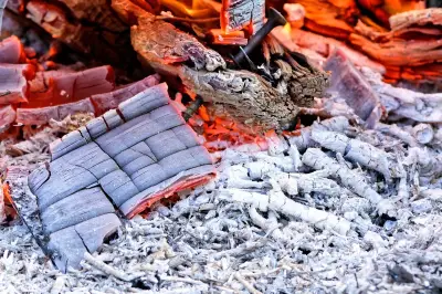 Amankah Abu Kayu untuk Tanaman? Ini Manfaat dan Risikonya