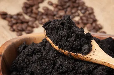 Ampas Kopi Bisa Jadi Bahan Bakar Bersih dalam 90 Detik, Ini Penjelasannya