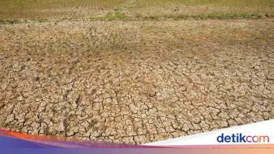 Antisipasi El Nino, Pemprov Banten Siapkan Pompa Air untuk Sawah