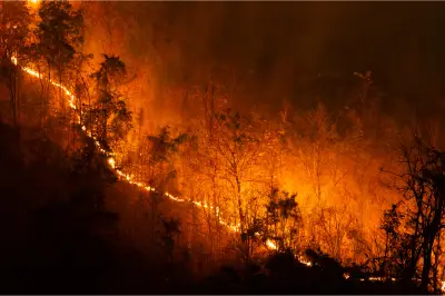 Asap Kebakaran Hutan Kanada Ancam Final Piala Dunia 2026
