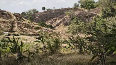 Bukit Teletubbies Semarang Terbakar, Damkar Dikerahkan