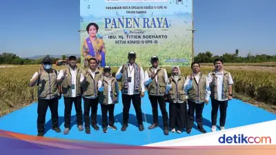 BULOG dan Komisi IV DPR Panen Raya di Klaten untuk Swasembada Pangan