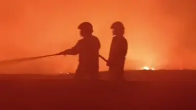 Damkar Ralat Penyebab Kebakaran TPA Benowo: Bukan Flare Suporter