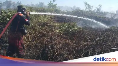 Delapan Hektar Lahan di Kotawaringin Barat Hangus Terbakar dalam Dua Hari