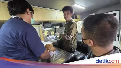 Dokter Hewan Keliling di Jagakarsa: Periksa Iguana hingga Kambing dalam Mobil