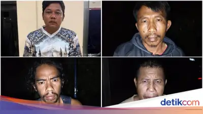 Empat Pembunuh Tapir di Lampung Ditangkap, Peran Berbeda