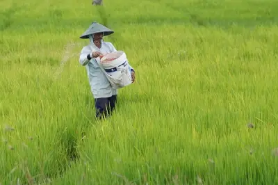 Hoaks Tautan Bantuan Petani Rp 15 Juta, Modus Phishing Berbahaya