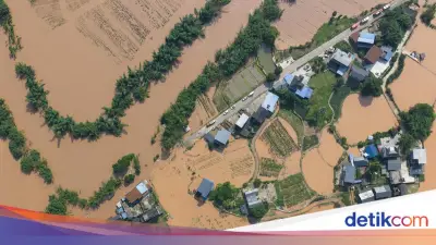 Invasi 900 Ular saat Banjir di China, 1 Wanita Tewas Digigit Kobra