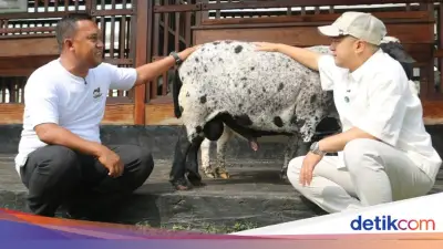 Irfan Hakim Terkesan dengan LASKAR Farm Lapas Karawang: Bukan Sekadar Peternakan
