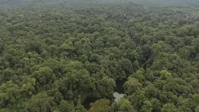 Kasus Perambahan Taman Nasional Bukit Barisan Selatan, 2 Tersangka
