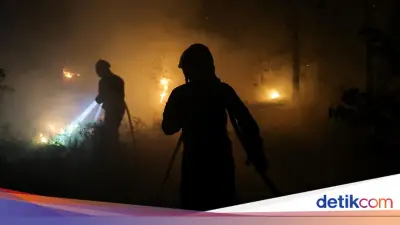 Kebakaran Hanguskan 1.300 Hektar Hutan Bersejarah Fontainebleau di Dekat Paris