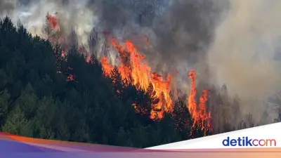Kebakaran Maut Spanyol: 12 Tewas, 23 Hilang, 3.200 Hektar Terbakar