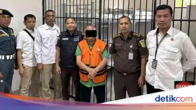 Kemenhut Buru Aktor Lain di Kasus Penyelundupan 3 Ton Sisik Trenggiling