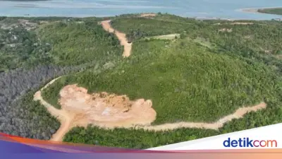 Kemenhut Tetapkan PT GTP Tersangka Korupsi Hutan Lindung di Kepri