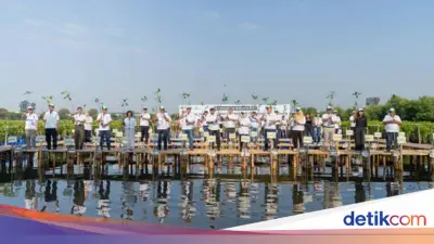 Libatkan 50.000 Pengguna, Shopee Tanam 2.000 Bibit Mangrove di Jakarta Utara