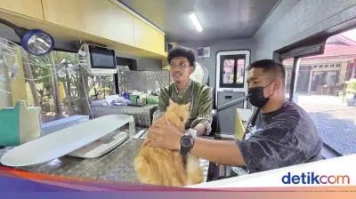 Mobil Klinik Hewan Keliling di Jakarta: Layanan dari Kucing hingga Kambing