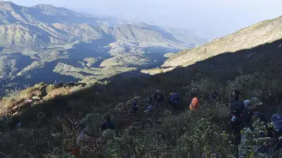 Open Trip Kena Blacklist 2 Tahun Gegara Tak Sewa Porter Lokal di Gunung Lawu