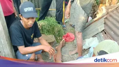 Pekerja Gali Sumur di Buleleng Tewas Terpeleset ke Sumur 12 Meter