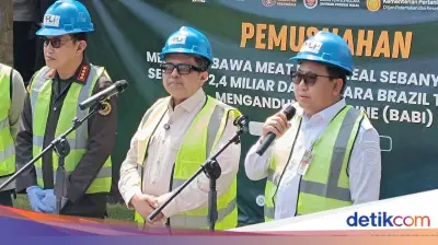 Pemerintah Cabut Izin Perusahaan Terkait 312 Ton Meat Bone Meal Mengandung Babi