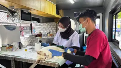 Pemprov DKI Kerahkan 5 Mobil Klinik Hewan Keliling, Tarif Mulai Rp35.000
