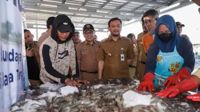 Pemprov Jateng Sukses Panen Udang Vaname di Kawasan Industri Semarang
