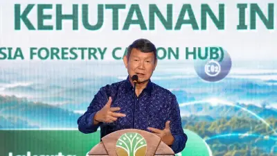 Perdagangan Karbon Kehutanan Dukung Target Penurunan Emisi Nasional