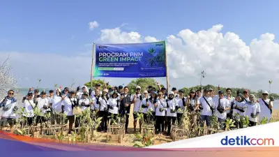 PNM Tanam 22.000 Mangrove di 18 Kawasan Pesisir untuk Peringati Hari Mangrove