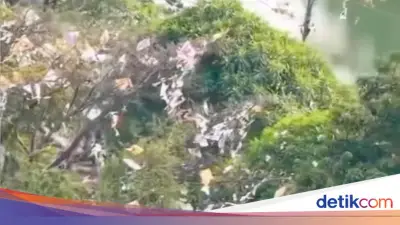 Pohon di Tepi Kali Sunter Jakut Penuh Layangan Nyangkut, 17 Pohon Dibersihkan