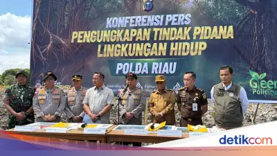 Polda Riau Ungkap Perusakan 118 Hektare Mangrove di Rohil, Dua Tersangka Dijerat