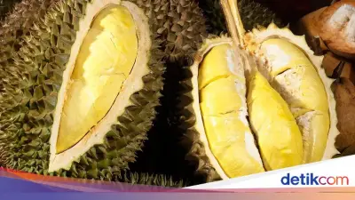 Skandal Ekspor Durian: Wakil Menteri Pertanian Vietnam Ditangkap
