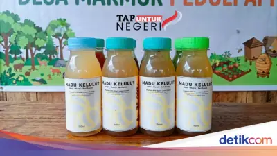 TAP Untuk Negeri Buka Akses Pasar Madu Kelulut Muara Lesan
