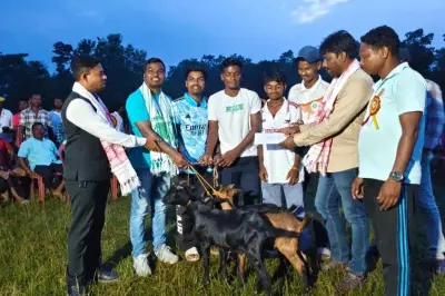 Unik, Turnamen Sepak Bola di India Hadiahkan Kambing Jantan