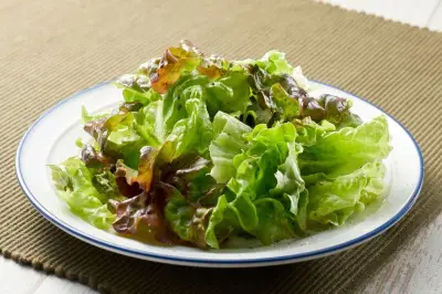 Wabah Cyclosporiasis di AS, Warga Kurangi Kunjungan ke Restoran