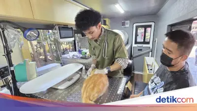 Warga Bawa Kucing Sakit ke Klinik Hewan Keliling Usai Lihat IG Pramono