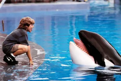 Warner Bros. Kembangkan Reboot Film Klasik Free Willy