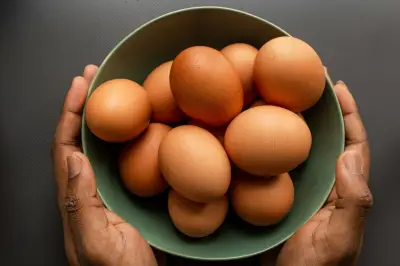 Waspada Telur Busuk: Kenali Ciri dan Risiko Keracunan Salmonella