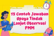 15 Contoh Jawaban Refleksi Tindak Lanjut PMM: Upaya Konkret Guru