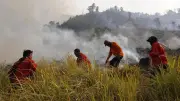 1.956 Hektare Savana TN Tambora Terbakar, Upaya Pemadaman Terus Dilakukan
