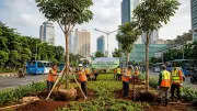 375 Pohon Instan Ditanam di Jakarta Pusat untuk Jaga Ruang Terbuka Hijau