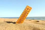 95 Persen Kota Paling Rentan Gelombang Panas Ada di Asia dan Afrika, Studi Oxford