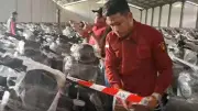 BGN: Motor Listrik MBG Belum Aset Negara, Baru Uang Muka Rp 243,9 M